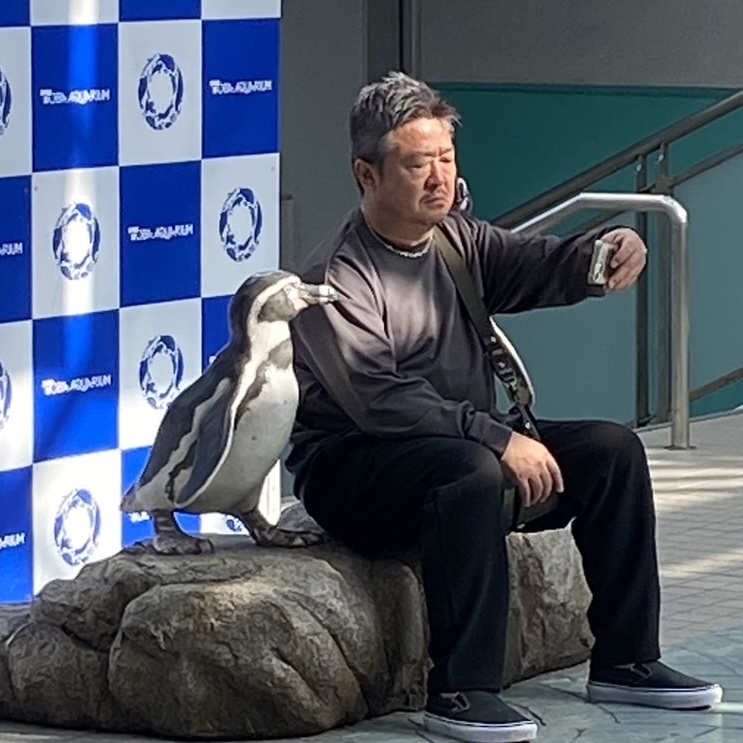 なんでこんなにおもしろい　鳥羽水族館　男性スタイリスト　人気スタイリスト　ランキングが高い美容院　岐阜柳津町　ヘアーラウル