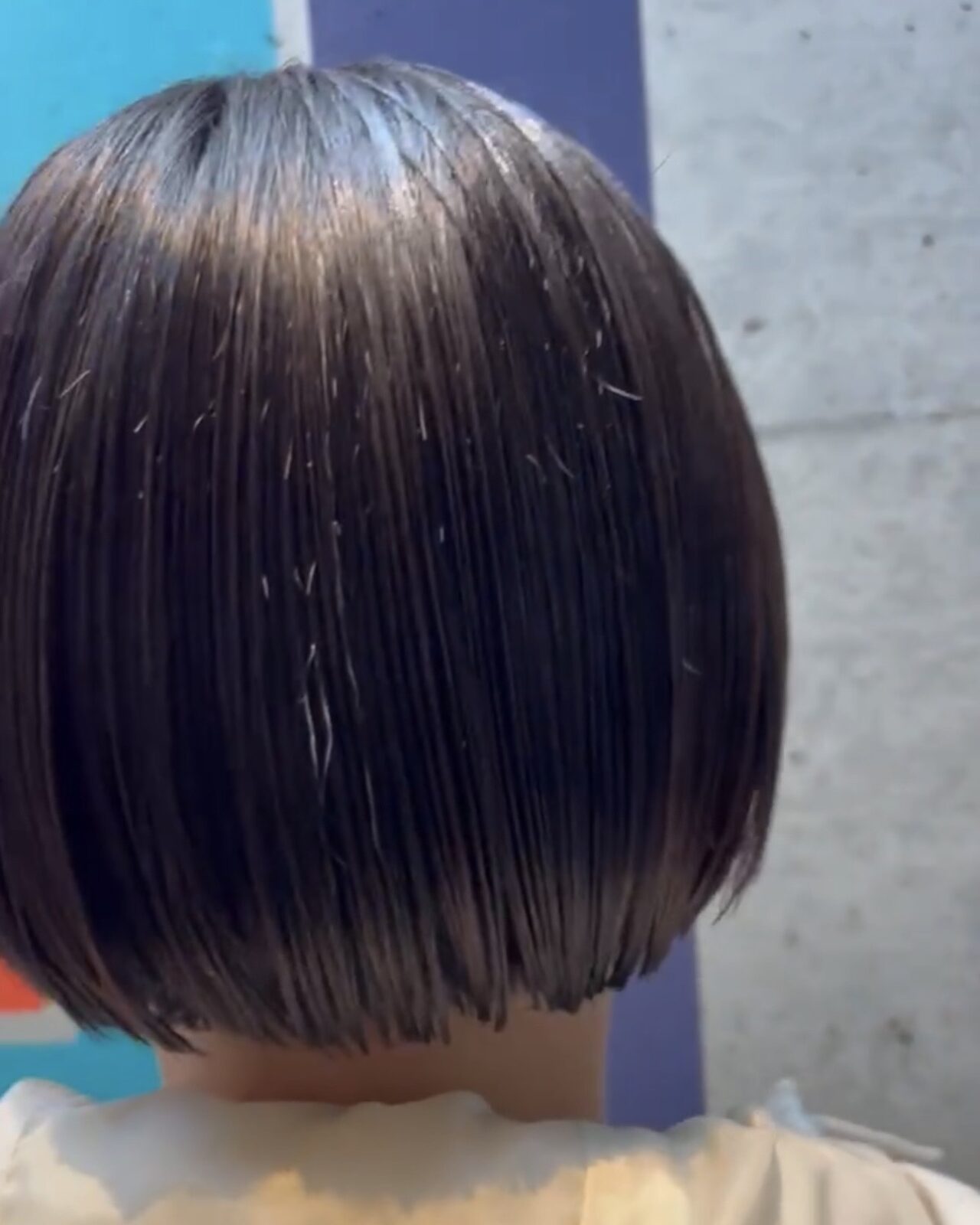 人気スタイリスト　ランキングが高い美容院　白髪染め　ハゲ予防　美革ストレート　岐阜柳津町　ヘアーラウル