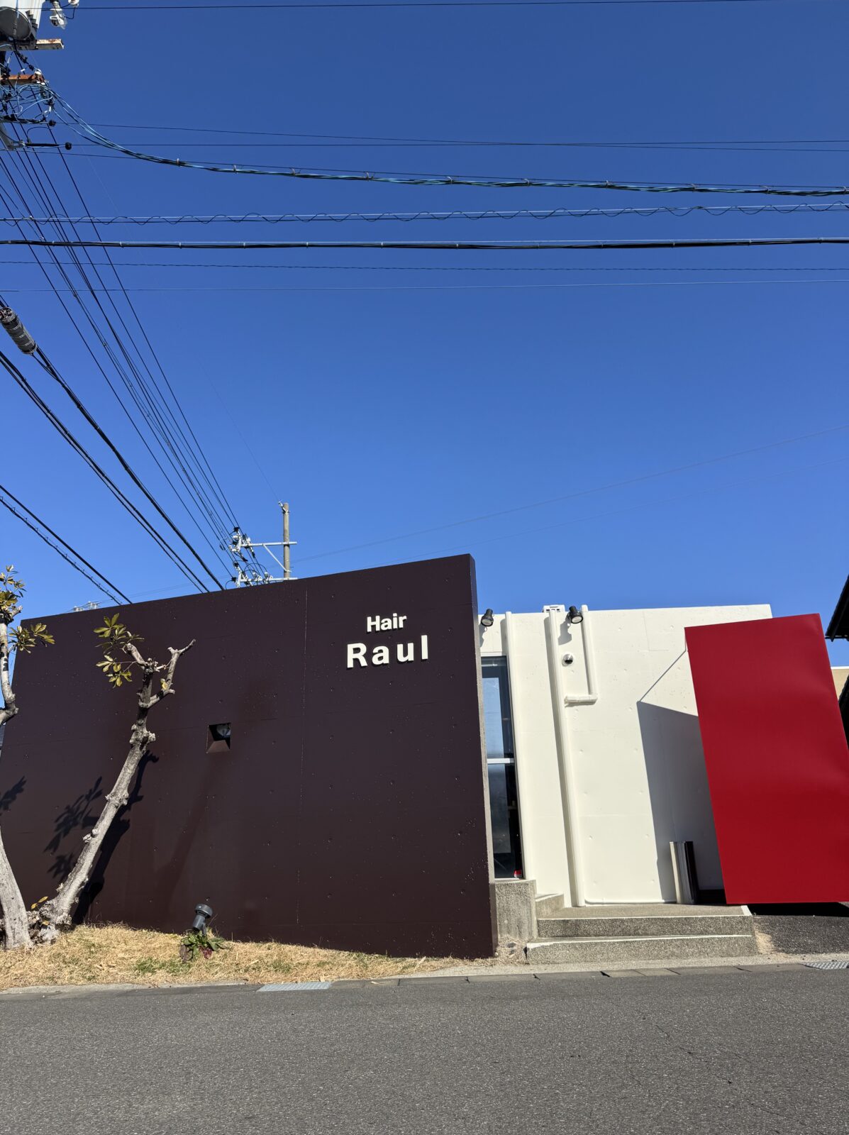 春の新色　人気スタイリスト　ランキングが高い美容院　白髪染め　ハゲ予防　美革ストレート　岐阜柳津町　ヘアーラウル